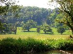 2006-0608-1233-35A.jpg
